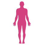 محصولات بدن